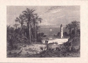 1873 MOONRISE COAST OF FLORIDA LIGHTHOUSE ST JOHNS Rvr ENGRAVING PRINT Read P101 - Picture 1 of 2