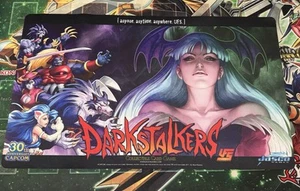 Darkstalkers Morrigan 2 Anime Capcom 30th Anniversary UFS CCG Playmat 24" x 14" - Bild 1 von 1