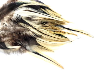 NATURAL BADGER NECK HACKLE - FEATHERS - 25 pc. - Fly Tying Materials - Jigs - Picture 1 of 4