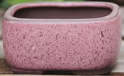 Maceta Bonsai de Cerámica Esmaltada Rectángulo Mame Enana 3.25"x2.5"x1.75" Foto 1 de 3