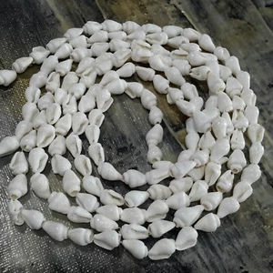 Natural Trumpet Shell Bead, 6-11x4-7mm, Approx 160 pce Free Postage Oz Seller - Picture 1 of 3