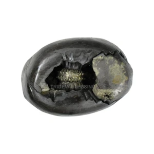 Sarvottam Golden Laxmi Narayana Shaligram Shila - Picture 1 of 3