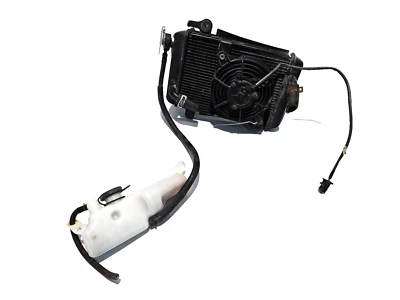 RADIATORE VASCHETTA LIQUIDO ELETTROVENTOLA HONDA SH 300 2011 2014 *CON SALDATURA - Imagen 1 de 4