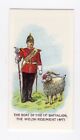Regimental Pets Card 1998. Goat 41st Battalion Welsh Regiment