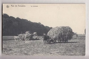 CPA BELGIQUE EUROPE - PARC CHATEAU DE TERVUEREN MOISSON ATTELAGE CHEVAL ~B48 - Imagen 1 de 2