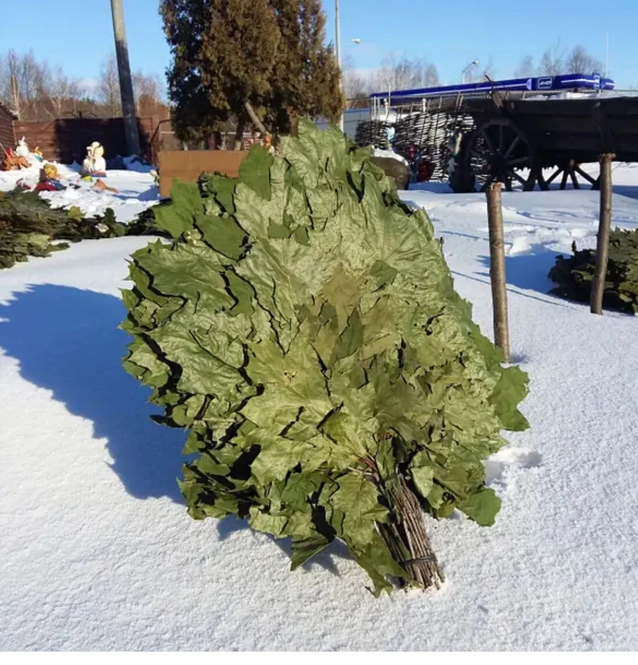 24 OAK whisks sauna banya venik brooms NEW SEASON 2025 FREE SHIPING - Image 1 of 4