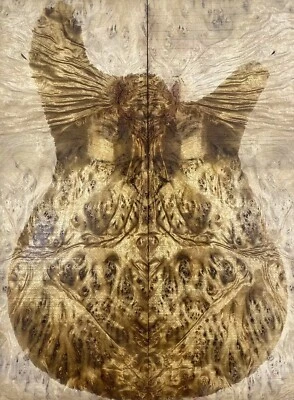 5A Figure Les Paul Guitar Top Barky Golden Camphor Wood Burl Luthier Supply - Image 1 of 4