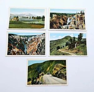 Lote (5) postales de Yellowstone Park Haynes Electric Park Hoo Doos Dunraven - Imagen 1 de 8