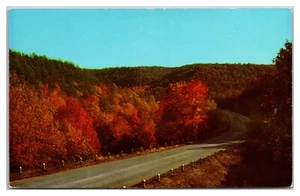 Beautiful Autumn In The Ozarks - Picture 1 of 2