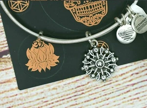 NEW NWT Alex and Ani Compass III Bangle Silver Bracelet W/Card - Picture 1 of 2