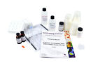Engineer and Explore Your Own Enteric Coating (Materials for 15 Groups)