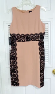 New! The Limited Lace Pink Sheath Pencil Dress Casual Cocktail Women's Size 12 - Picture 1 of 7