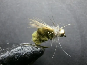 3 PUPAS DE TRICÓPTERO VERDE OSCURO CABEZA DORADA PESCA A MOSCA-(NINF-ESP 66) - Imagen 1 de 1