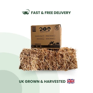 Wheat Straw Box Natural Fresh Quality Rabbit Guinea Pig Small Pet Bedding Food - Picture 1 of 12