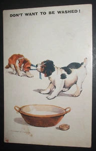 MILDRED C HUNTER Comic DOG FIGHT WITH CAT DON'T WANT TO BE WASHED CATS BATH TUB - Bild 1 von 1