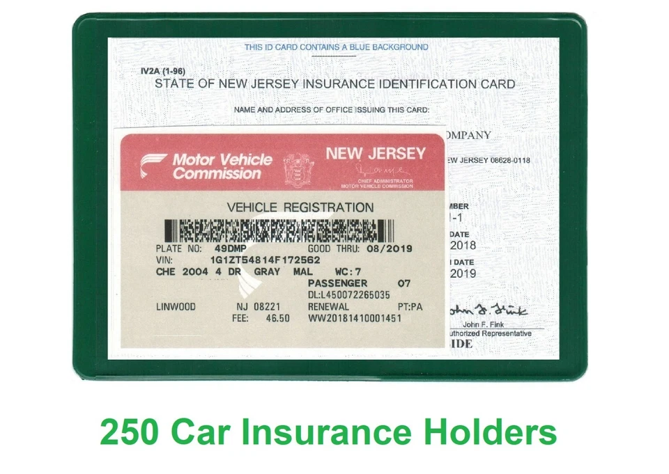 250 Titular de Seguro Tarjeta de Registro Documento Auto Organizador Verde Foto 1 de 1