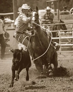 Calf Roping, Barry Hart, Wall Decor Home Art Print Poster 14" x 11"   3029 - Picture 1 of 1