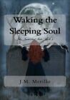 Waking The Sleeping Soul The Immortal Fate Boo Merillo