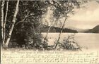 1905. WHITEFACE THROUGH THE BIRCHES. ADRONDACK MTS, NY. POSTCARD. RC10