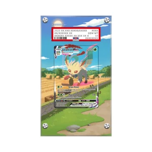 Leafeon VMAX 205/203 Pokémon Extended PSA Artwork Protective Card Display Case - Picture 1 of 3