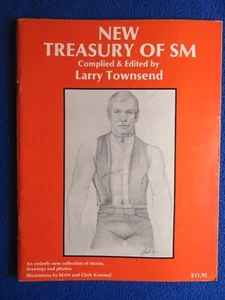 NEW TREASURY OVERSIZED BOOK 1982 LARRY TOWNSEND SEAN JOHNSON RARE - Picture 1 of 3