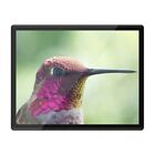 Placemat Mousemat 8x10 - Beautiful Hummingbird Bird  #2614