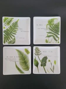Rosanna L'Orangerie Antique Botanical Fern 4PC Square Dip Dish Set Collectible - Picture 1 of 9