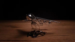 UKRAINIAN DREAM SE OFFICIAL CARGO AIRCRAFT - Picture 1 of 24