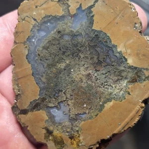 Rough Slab Unknown Thunder Egg  Thick Lapidary Cabbing Stone Mineral Society - Picture 1 of 10