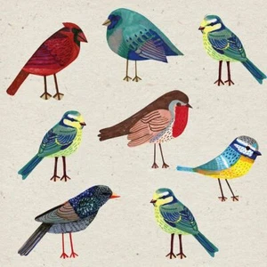 3 Paper Napkins For Decoupage Scrapbooking Craft Lunch Serviettes Birds Bluebird - Picture 1 of 12