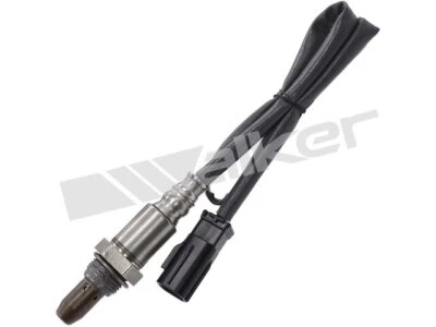 Sensor de oxígeno Upstream Walker 37461BN para Toyota Avalon 2019-2020 Foto 1 de 2