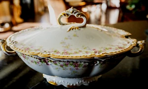 Tureen Schleiger 844 rosas doble oro cubierto ovalado de Theodore Haviland Limoges - Imagen 1 de 6