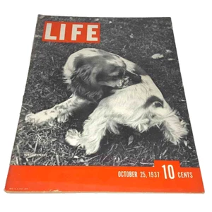 LIFE MAGAZINE Oct 25 1937 Hunting Spaniel Dog Pall Mall Tobacco Complete Ads - Picture 1 of 2