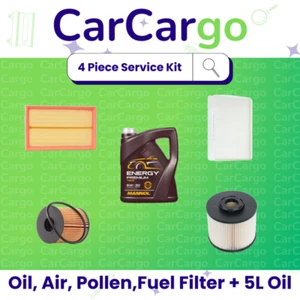 Service Kit For PEUGEOT RCZ 2.0 HDi 2010 - 2015 Oil Air Cabin Fuel + Engine Oil - Picture 1 of 3