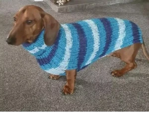 Dachshund Dog Jumper - Blue Stripe - New - Custom Made - Aran Knit - Picture 1 of 2