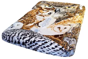 Signature Collection 11 Owls Wildlife Soft Plush Queen Size Throw Blanket - Picture 1 of 2