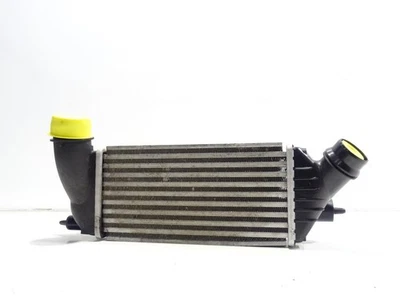 LADELUFTKÜHLER INTERCOOLER Citroën JUMPY 2 0384P2 - Bild 1 von 4