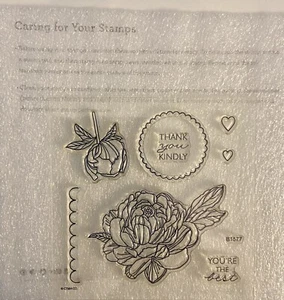 Close To My Heart ~ My Acrlix Stempelset ~ B 1577 Kind Thoughts - Bild 1 von 2