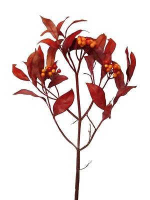 (01478-34039) ARTIFICIAL RAMA HOJAS FRUTOS ROJOS BAYA FRUTAS BOSQUE BERRY ROJO - Imagen 1 de 2