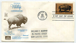 1392 Wildlife Conservation 1970 Buffalo addressed Fleetwood FDC