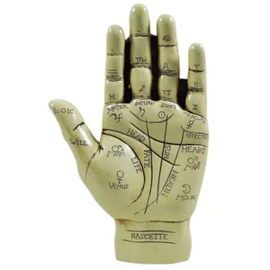 Palmistry Hand Ornament With Palm Reading Instruction Booklet 19cm Large 09000 - Picture 1 of 6