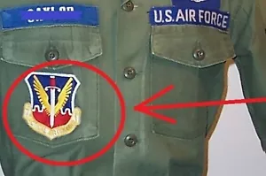 US AIR FORCE TACTICAL AIR COMMAND TAC iron-on INSIGNIA PATCH - Picture 1 of 12