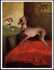 ITALIAN GREYHOUND DOG ON A RED CUSHION VINTAGE STYLE DOG ART PRINT POSTER - Picture 1 of 1