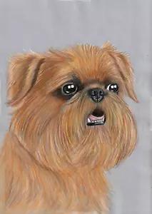 Original Color pencil Artwork art picture cute Brussels griffon dog GREAT GIFT - Picture 1 of 3