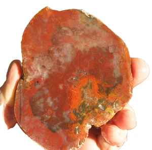 rle  JASP-AGATE SLAB, ARIZONA, 4.1" X  3" x  0.23" - Picture 1 of 3