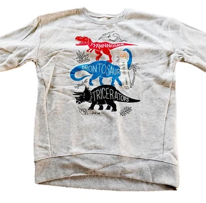Jumping Beans Boys Sweatshirt Dinosaurs Softest Fleece Gray Pullover Size 12 New - Picture 1 of 12