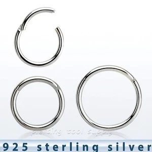 18G Hinged Seamless Segment Ring .925 Sterling Silver Nose Ring Earring Septum - Picture 1 of 2