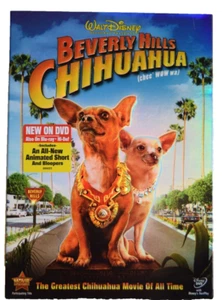 Disney Beverly Hills Chihuahua DVD 2009 - Picture 1 of 4