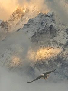 In the Real of the Gods by Robert Dawson Eagle Mountain Print 22x28 - Picture 1 of 1