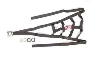 RJS SAFETY 10001501 SPRINT CAR CAGE NET- - Picture 1 of 1